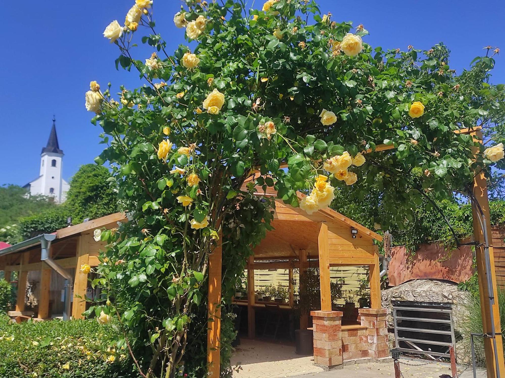 Velky Kamenec 伊洛娜旅馆酒店 外观 照片